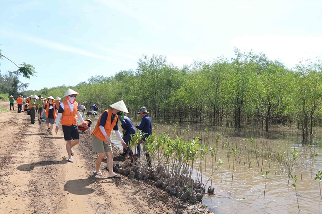 Government partners discuss mangrove afforestation in Mekong Delta

